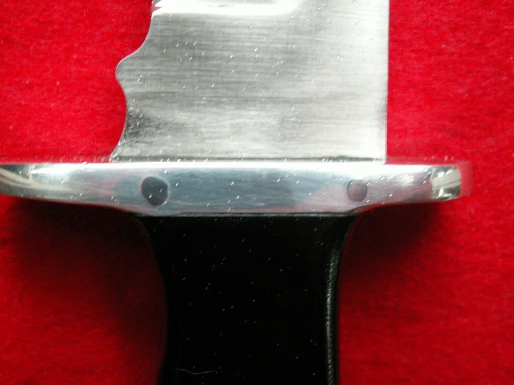 PICT0454.jpg
