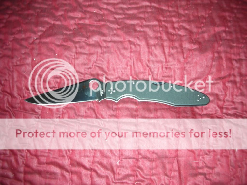 DSCN1444.jpg
