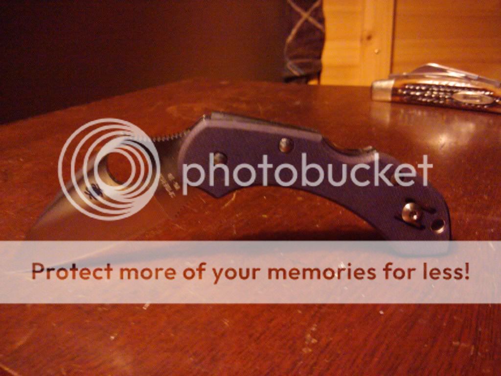 2011-02-13235122.jpg