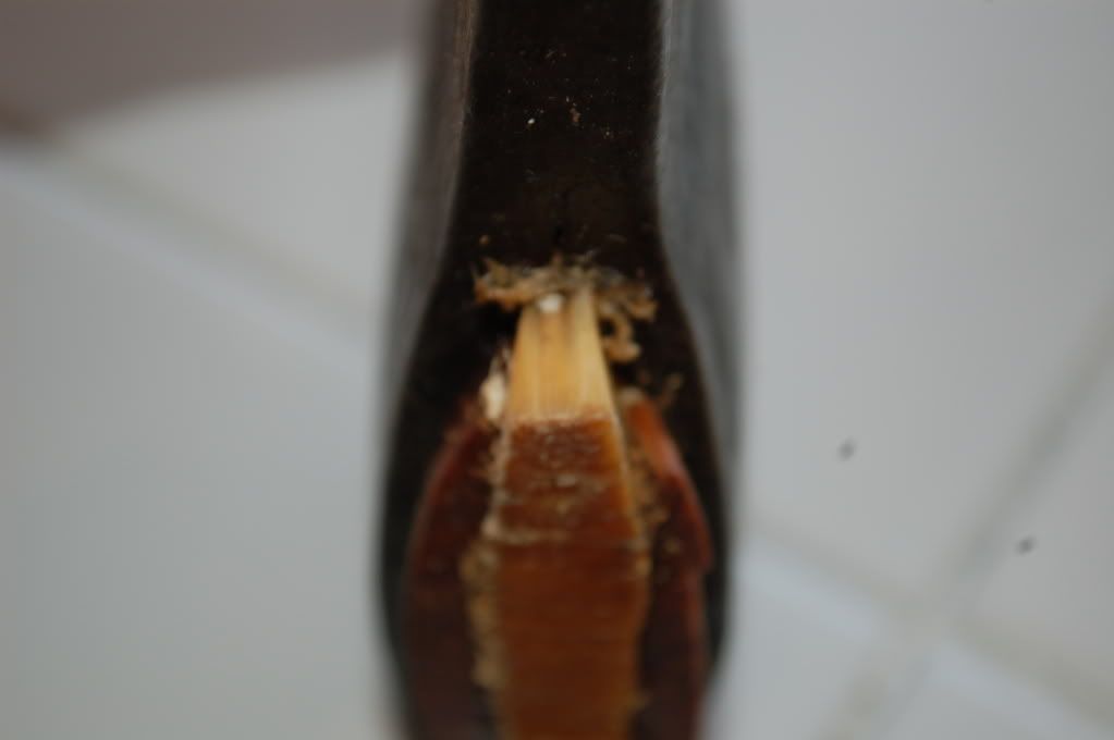 DSC_3759.jpg