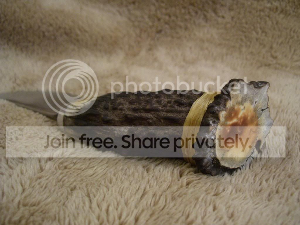 100_2494.jpg
