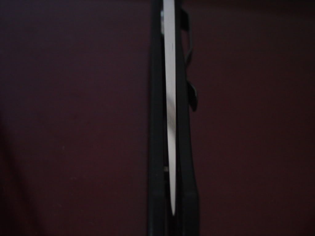 DSC00457.jpg