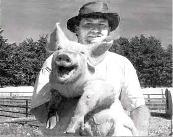 pig_racing3.jpg