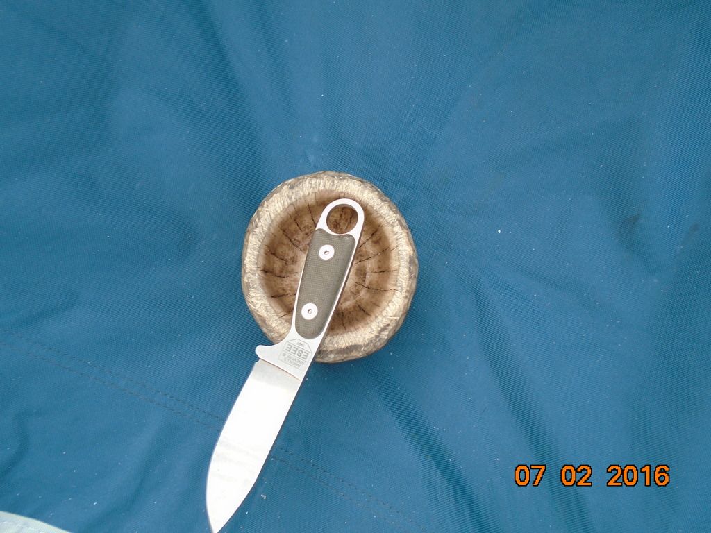 Camp%2038_zpsjsqarw6m.jpg