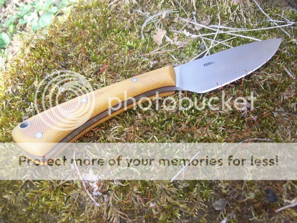 100_9376_zps06bef889.jpg