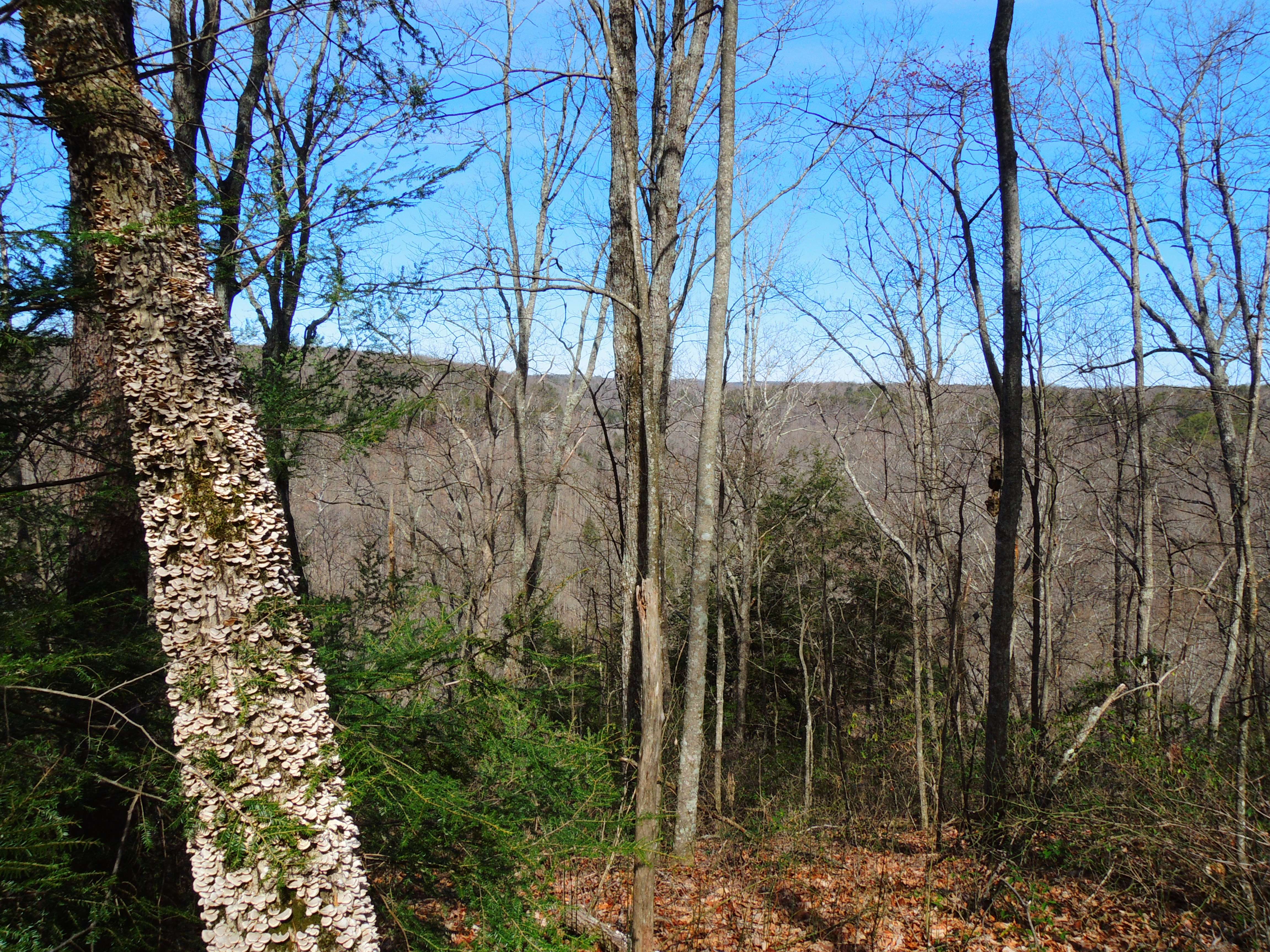 dscn9392v.jpg