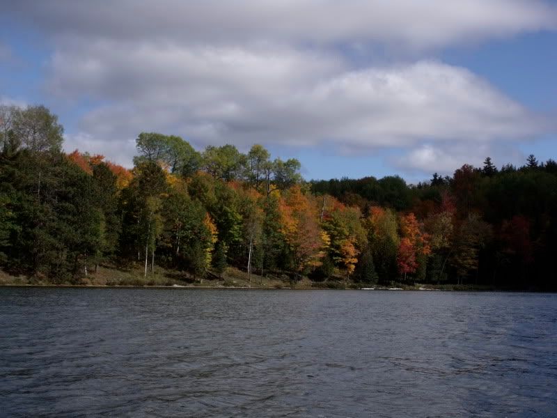 FallPetun006.jpg