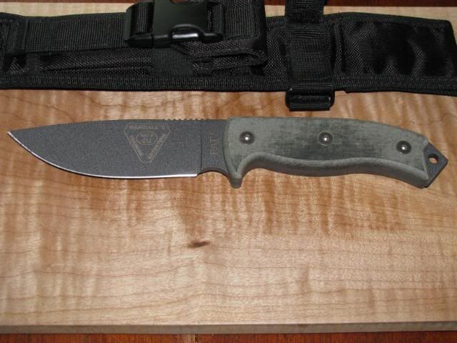 WTT025.jpg