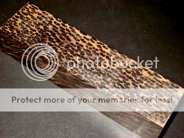 photobucket-2212-1348419700534_zps8ab7bbac.jpg