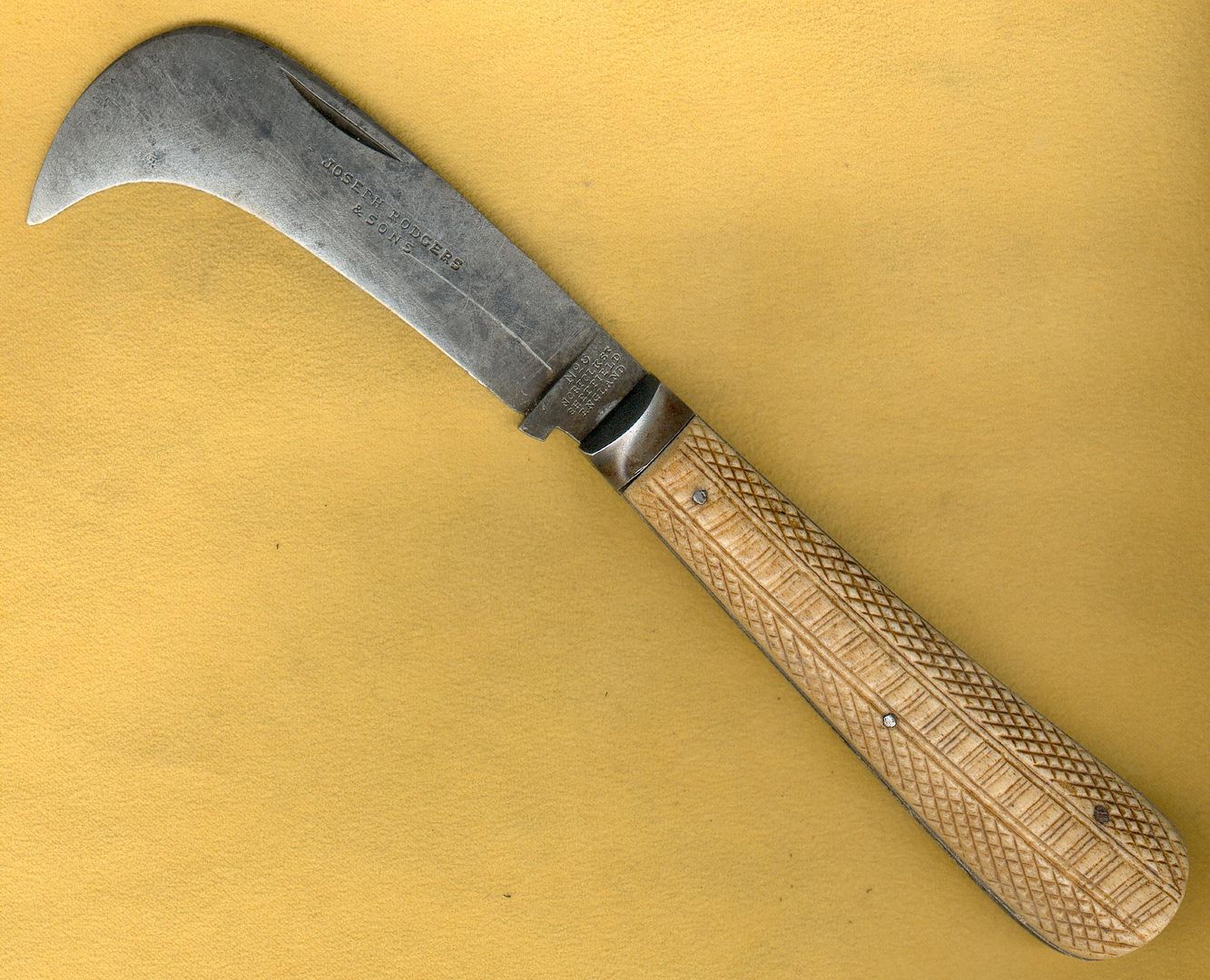 ScrattedHawk1_zpsknho60ax.jpg