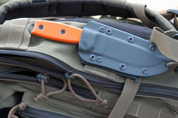 esee1.jpg