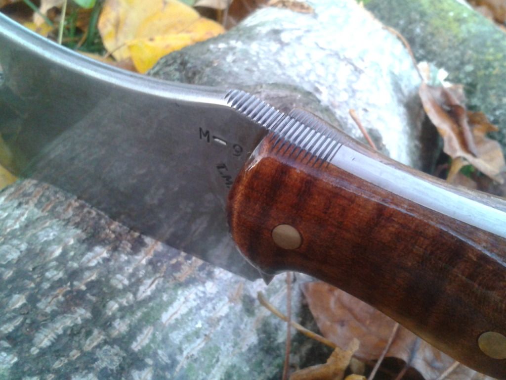 2012-10-25183353.jpg