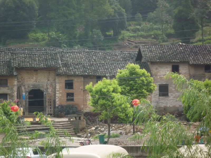 P1000881.jpg