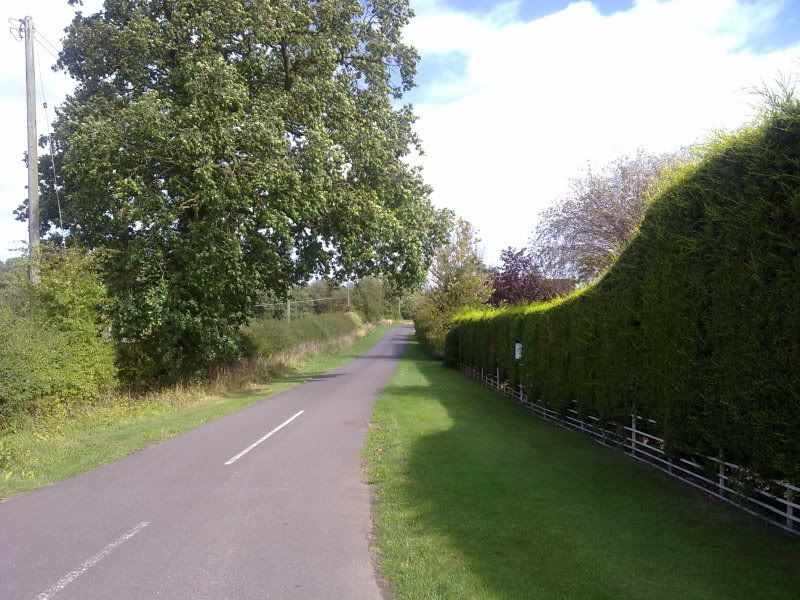 12092011134.jpg
