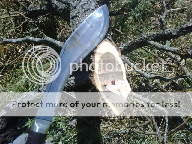 IMG00282.jpg