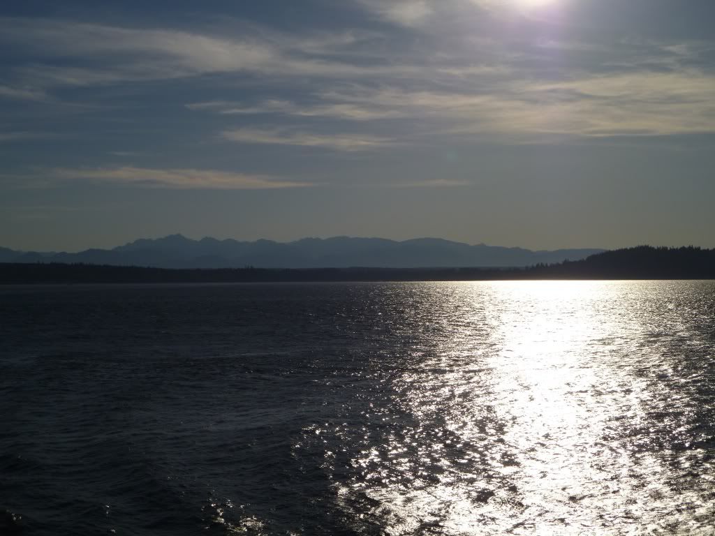 P1000332.jpg