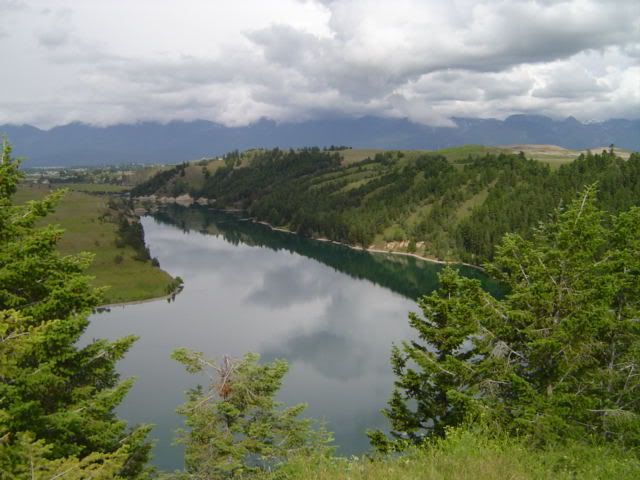DSC00445.jpg