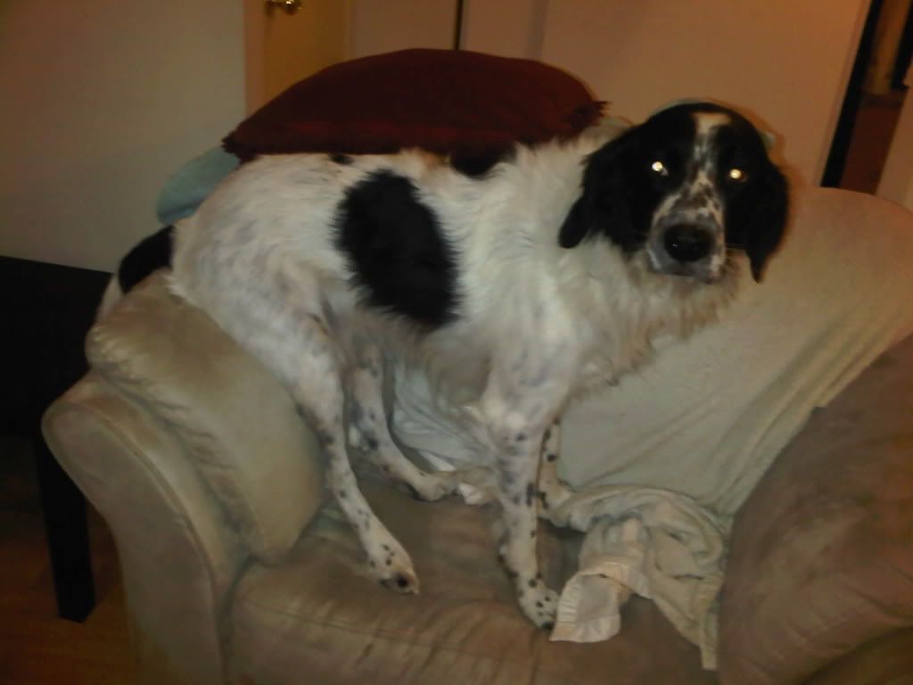 IMG-20111116-00099-1.jpg