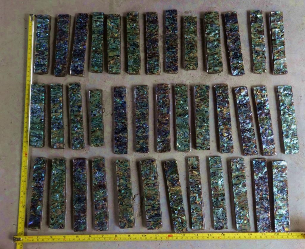 abalone_zps9764c52e.jpg