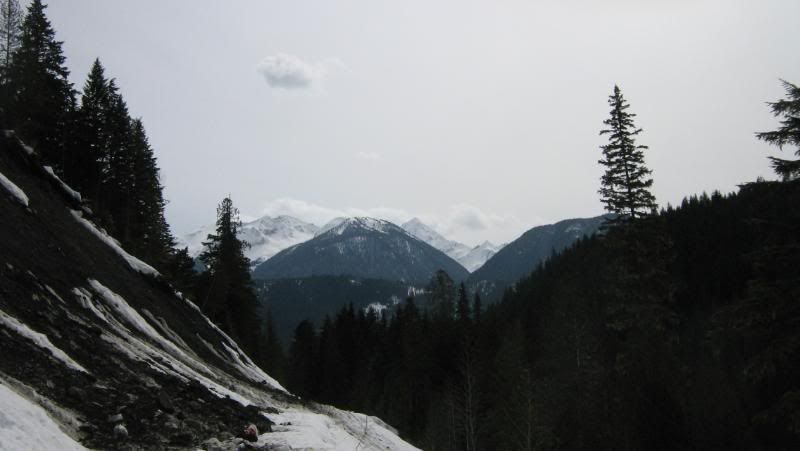 beaver2011012.jpg