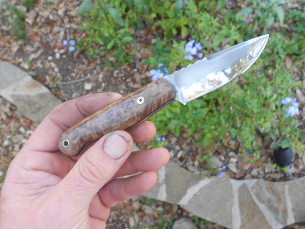W2andmapleedc077.jpg