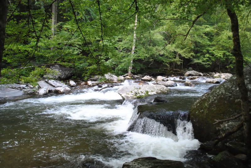 DSC_5103.jpg