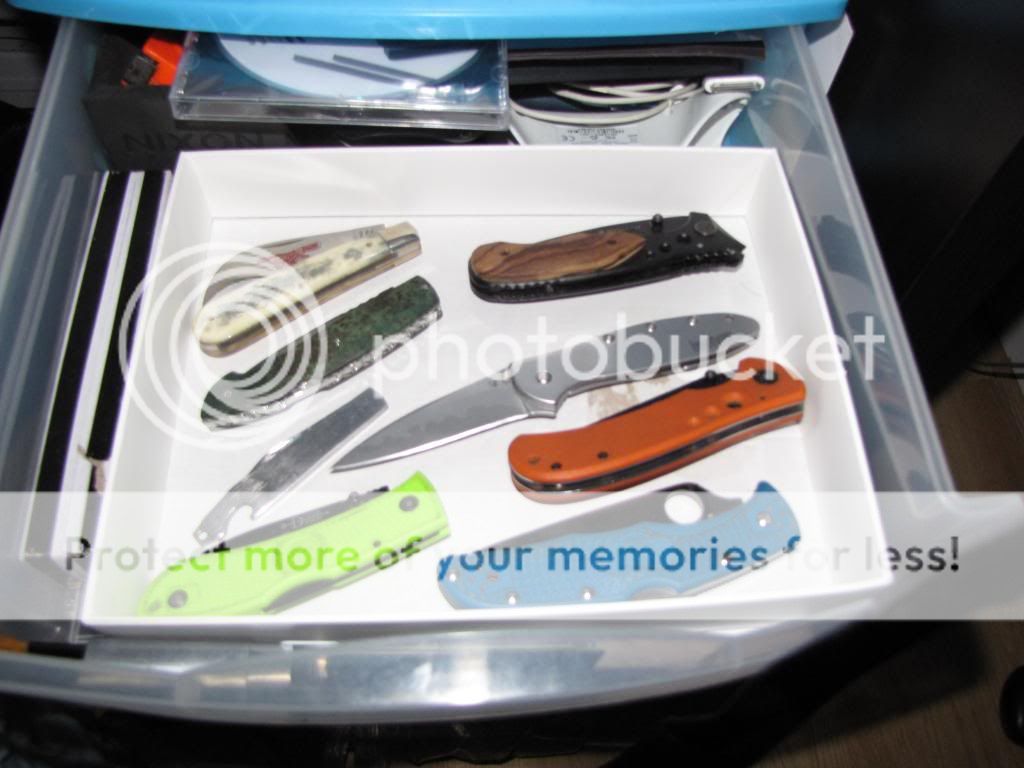 IMG_4074_zpsbf32dd98.jpg
