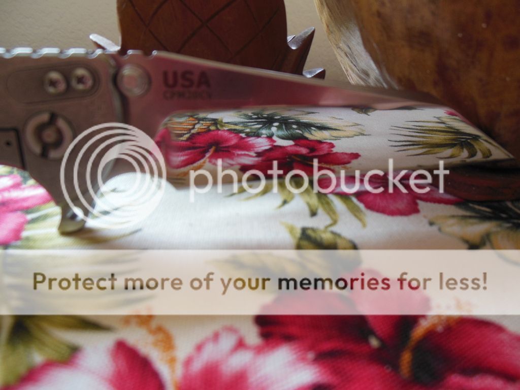 DSCN2344_zpsq7c5s7yi.jpg