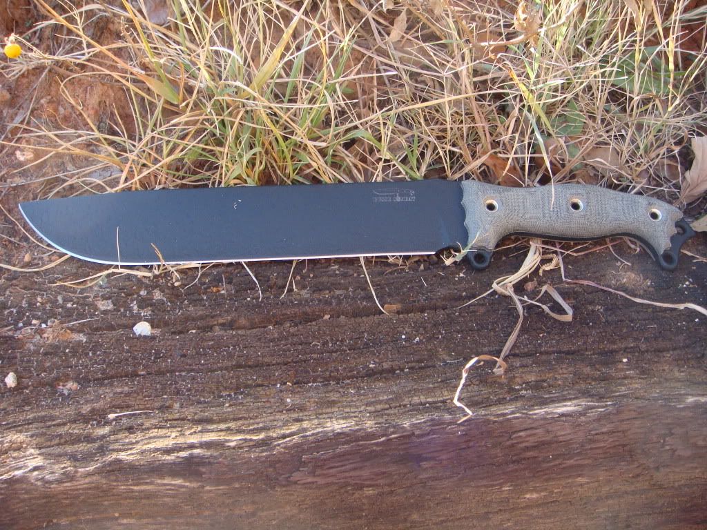 e76ed53b.jpg