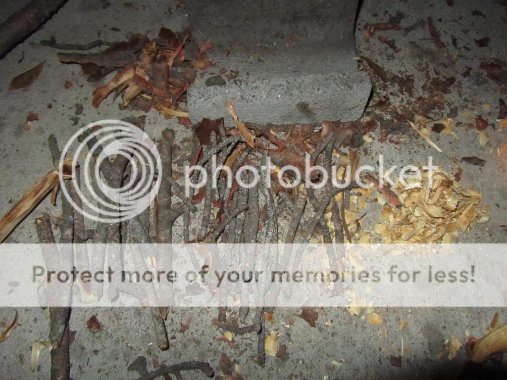 IMG_1298_zps04e60707.jpg