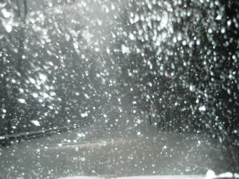 snow038.jpg