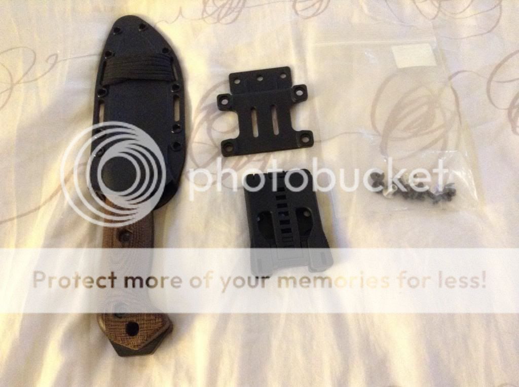 becker2_zpsed09ca73.jpg