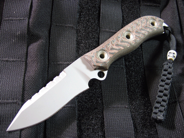 Busse_AD_Custom_01.gif