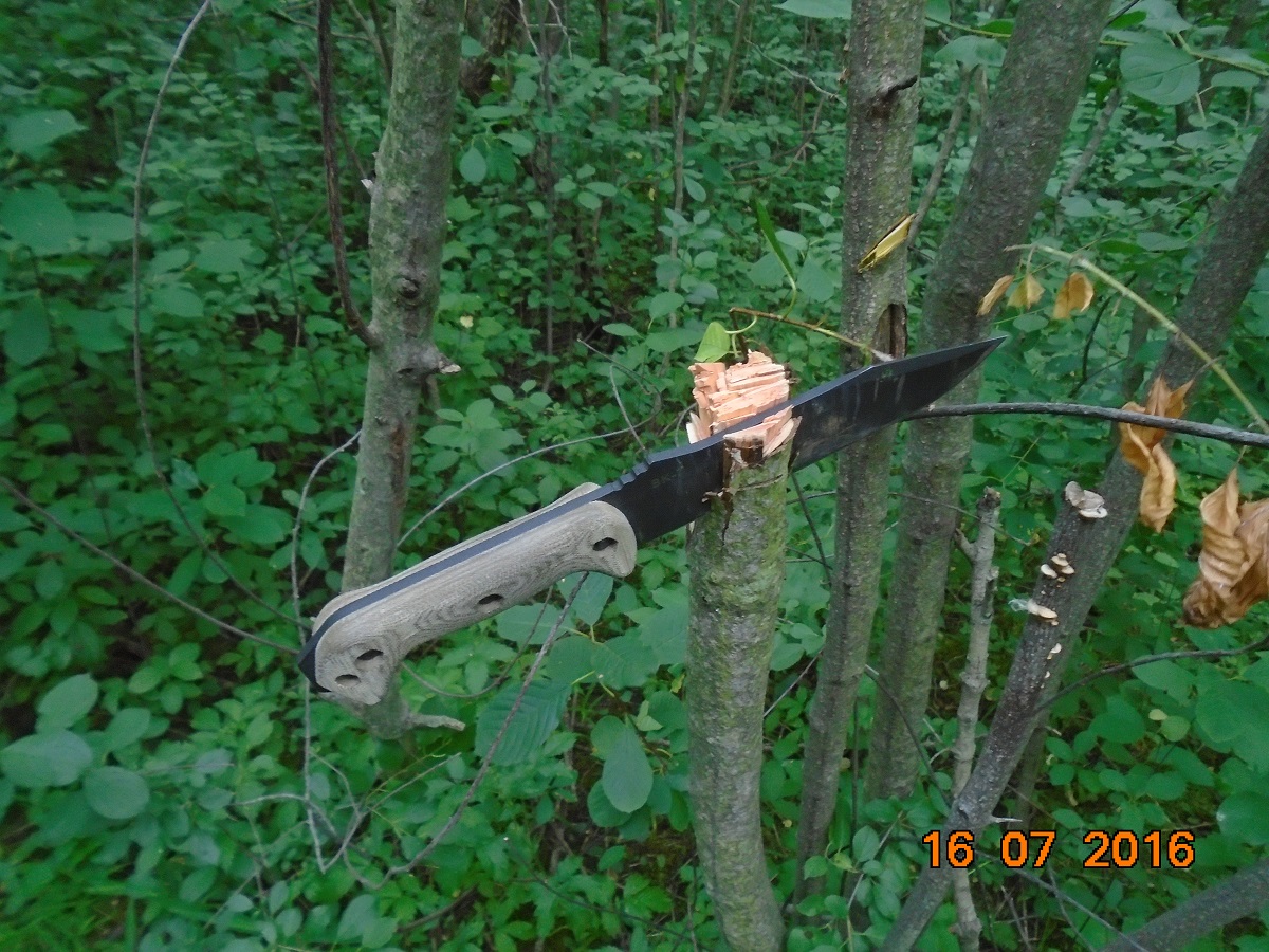 pyV28R3.jpg