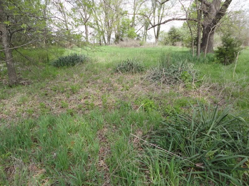 bushclass049.jpg