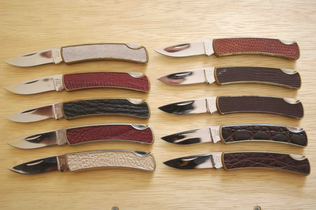 Buck529Buckskinzehn.jpg
