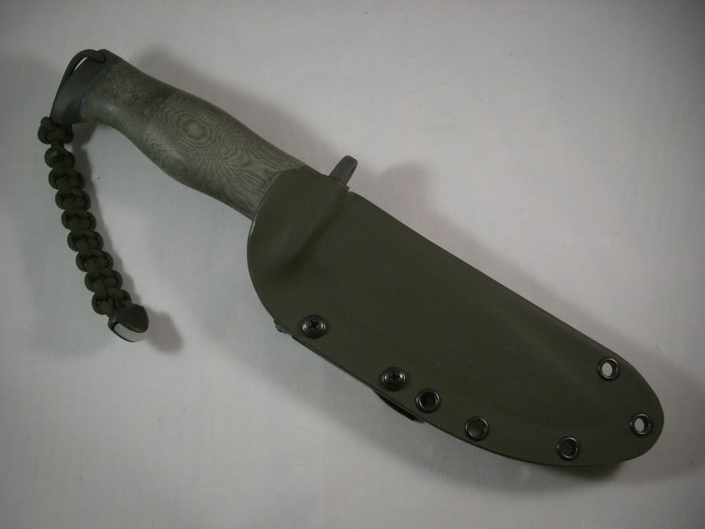 CIMG2649.jpg