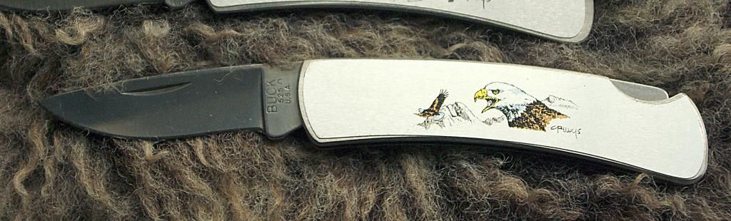 Buck525BaldEagle_zps220f0a95.jpg