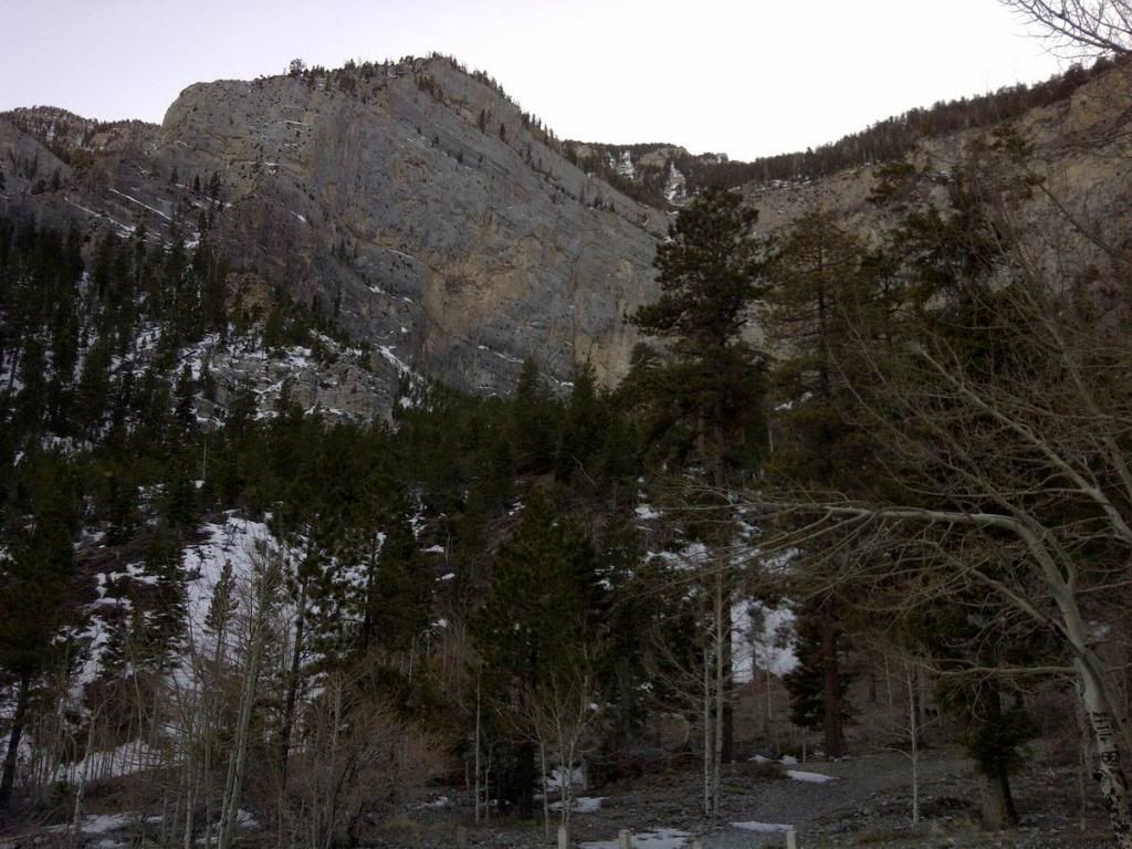 IMG-20120304-00272_resize.jpg