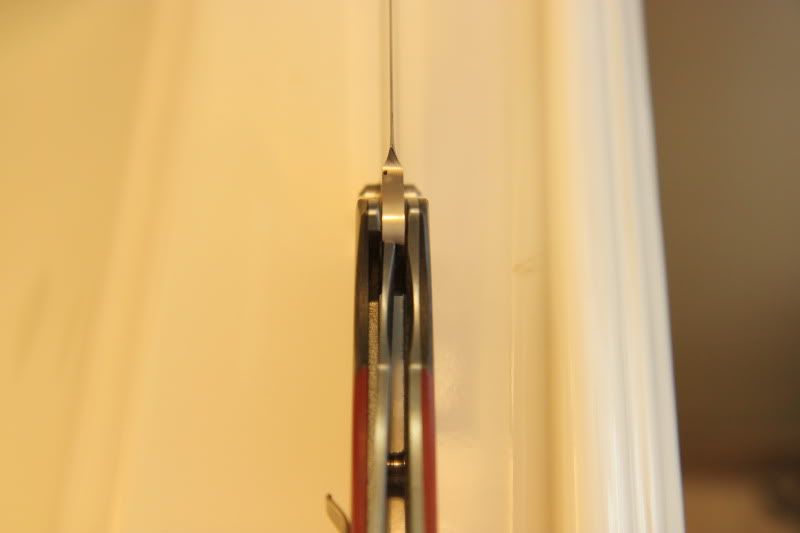 Halloween2011064.jpg