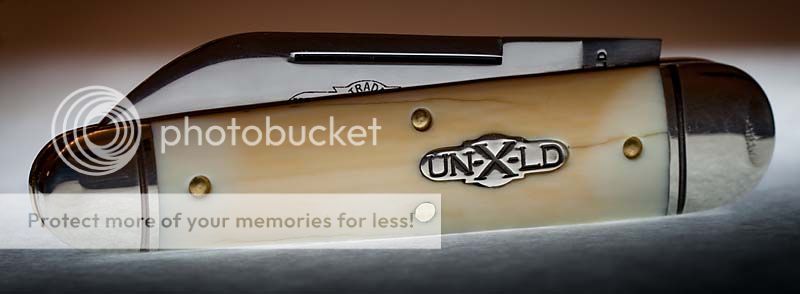 ivory1a.jpg~original