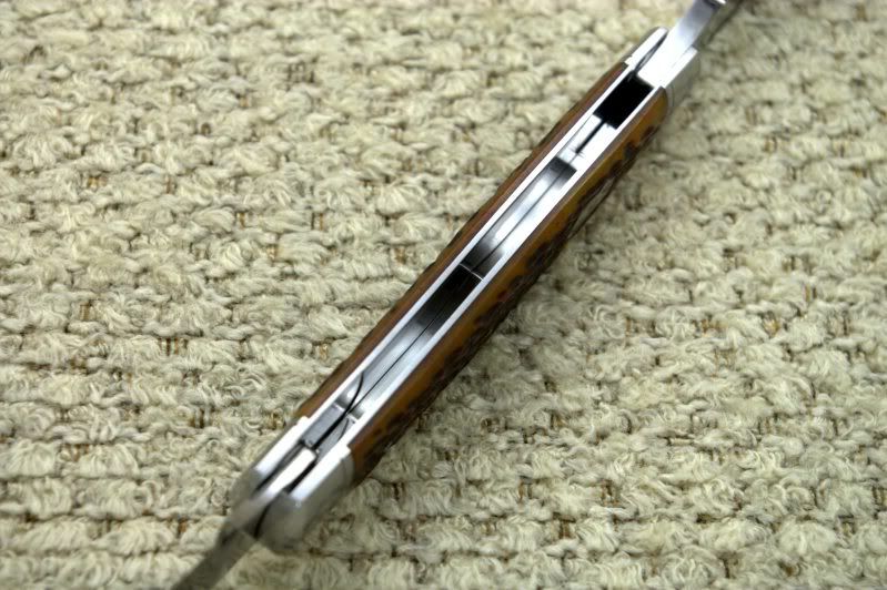IMGP5030.jpg