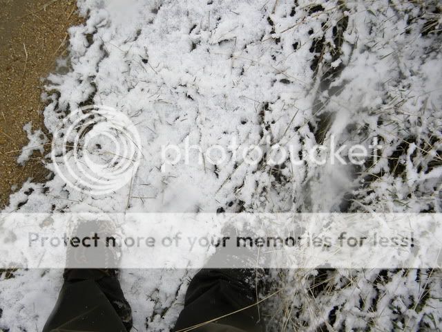 march666.jpg