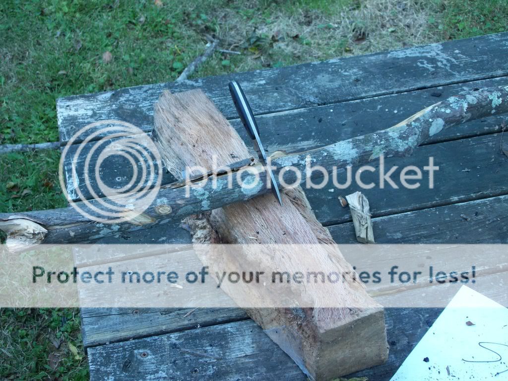 100_3213.jpg