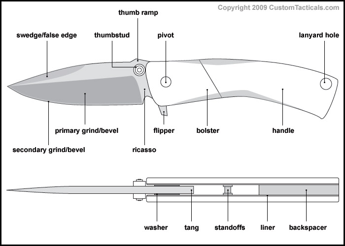 folder_anatomy.jpg