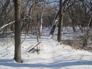 IMG_1187.jpg