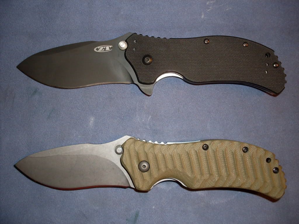 ZT350010.jpg