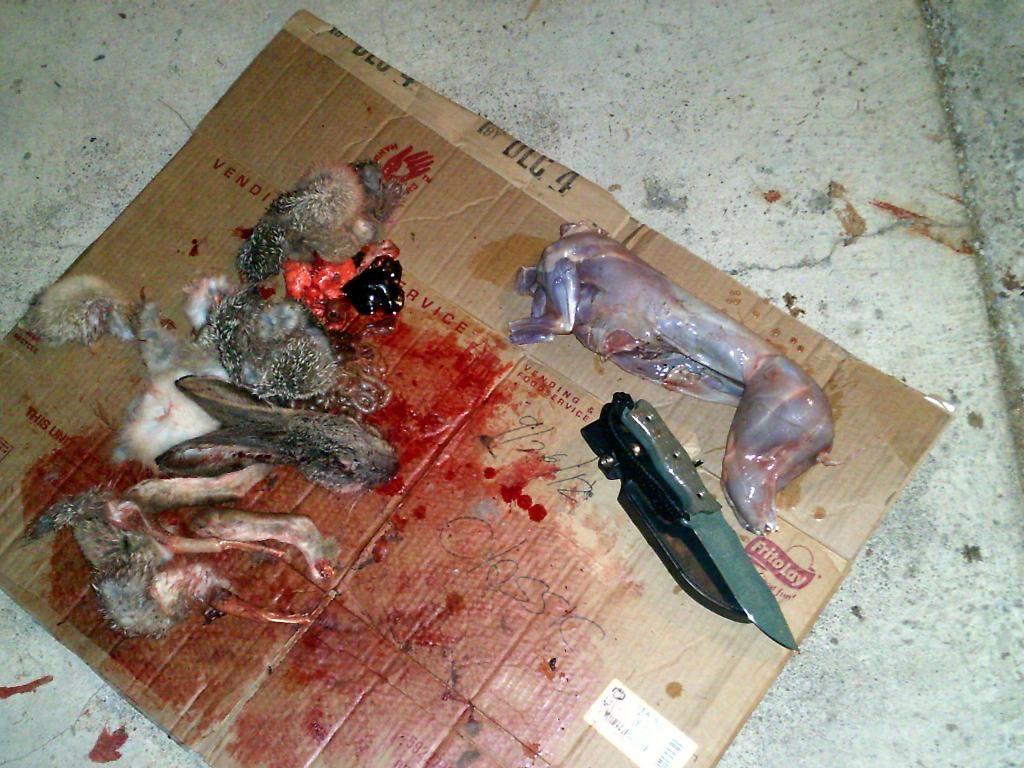 bDSCF0003.jpg