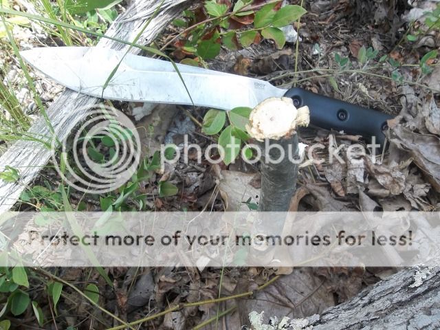 100_3551-1.jpg