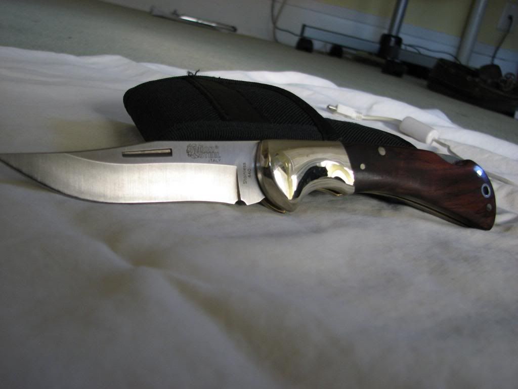 lion_steel007.jpg